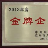 林洋在2013年度启东市综合表彰大会上荣获多项殊荣