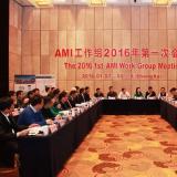 林洋能源承办的AMI工作组2016年第一次会议顺利召开